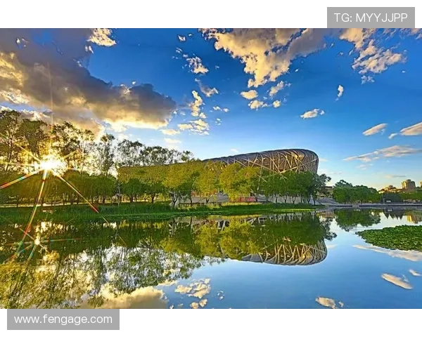 博乐体育：专业赛事策划与体育营销的最佳实践探索